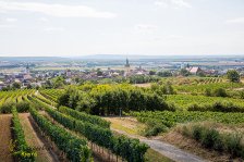 10.08.2024 Ausflug nach Retz - Hardegg - Obernalb